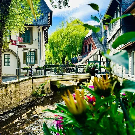 Altstadt In Toplage Kultur&natur *